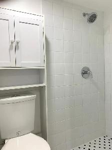 East Downtown (Woodbine/Danforth) ONE bdrm $1350 - Photo 9