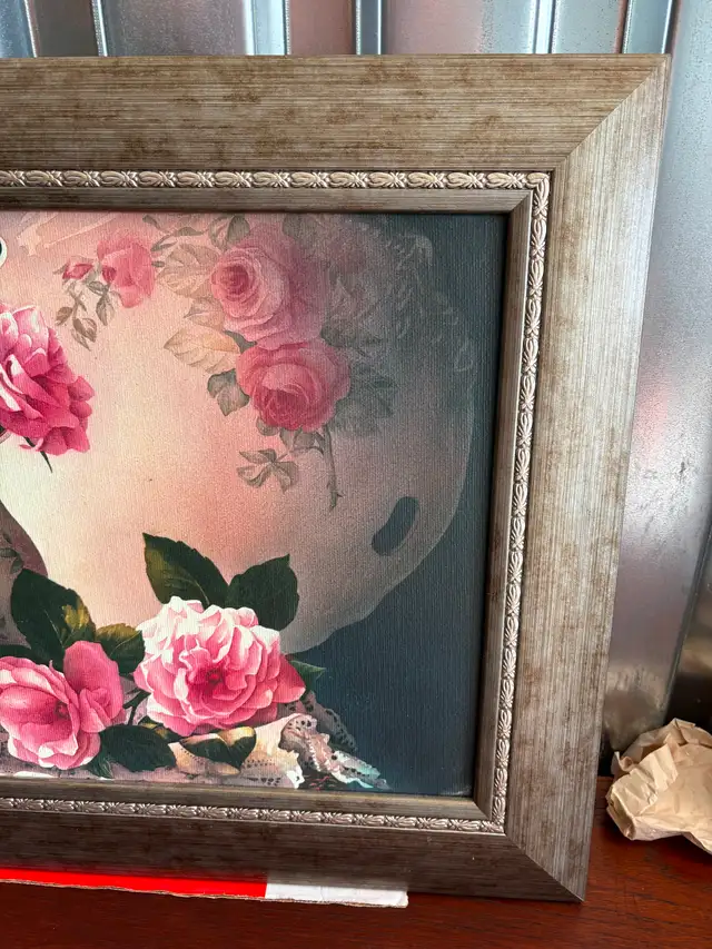 Beautiful Rose Picture - Photo 6