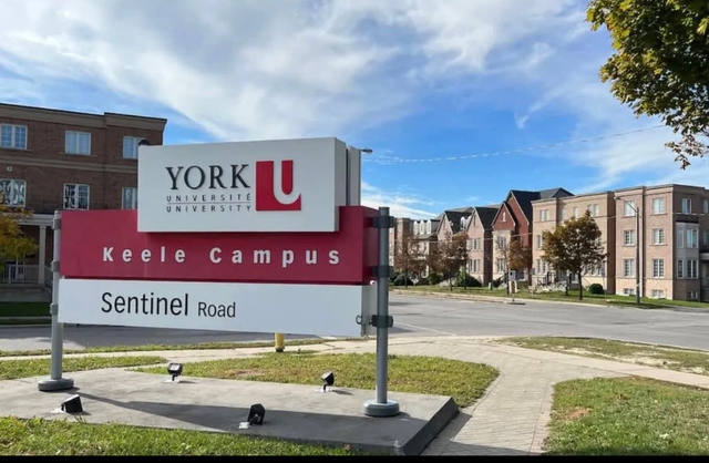 Room in Basement for rent near York U - Photo 6