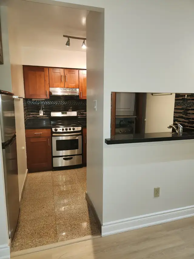 For Rent, 1bdrm Sol., downtown Toronto, Bay St & Irwin Ave. - Photo 2