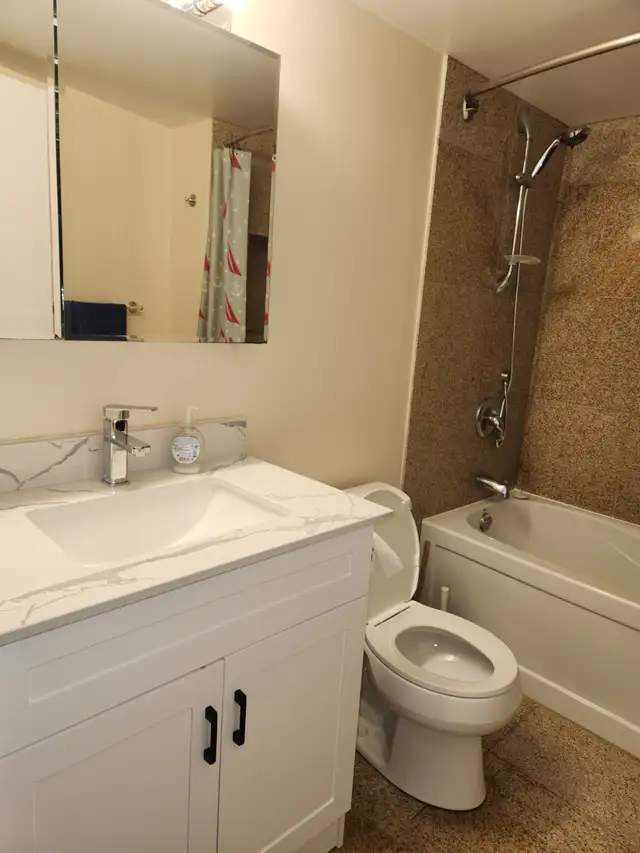 For Rent, 1bdrm Sol., downtown Toronto, Bay St & Irwin Ave. - Photo 6