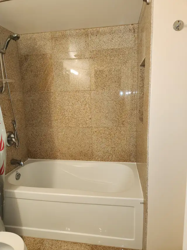 For Rent, 1bdrm Sol., downtown Toronto, Bay St & Irwin Ave. - Photo 7