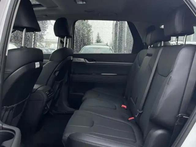 2024 Hyundai Palisade Urban 8-Passenger AWD Leather, 3rd Row, Na - Photo 30