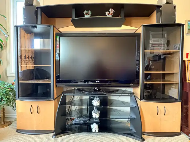 Entertainment Unit For Sale