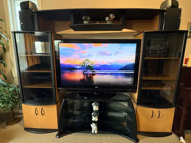 Entertainment Unit For Sale - Photo 2