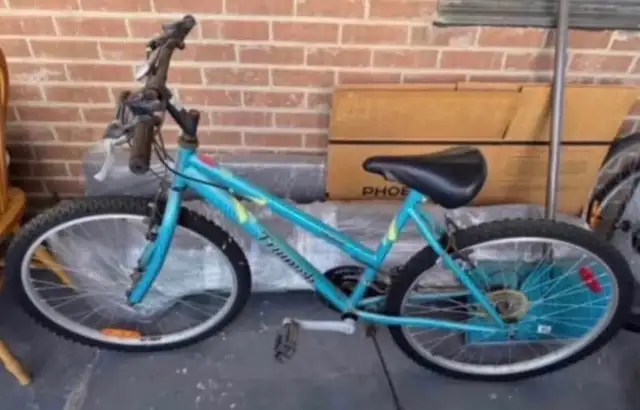 Triumph Mountain Bike
