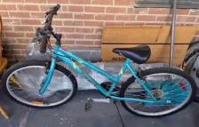 Triumph Mountain Bike