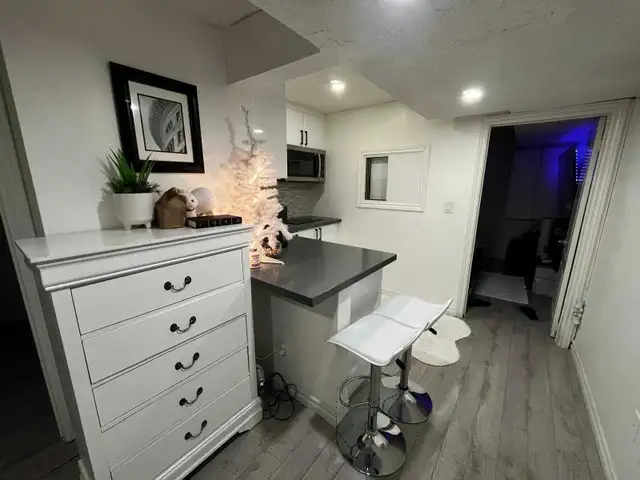 one bedroom basement Vaughan - Photo 2