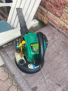 mix gas weed eater airblower