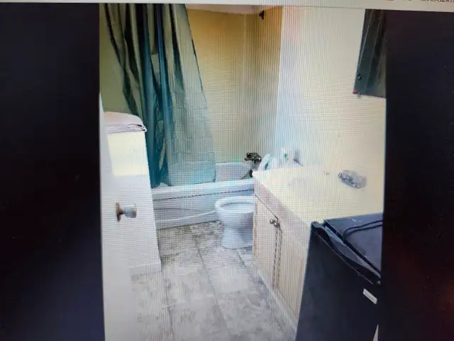 Furnished newly renovated- all utilities included-pet friendly - Photo 4