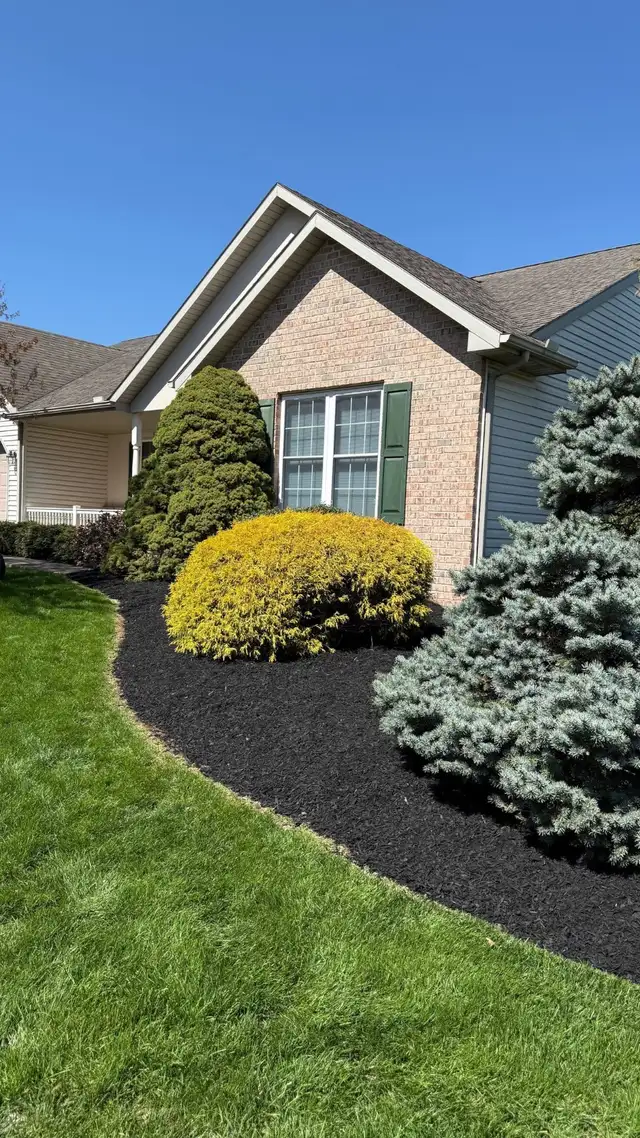 Landscaping & Yard Work