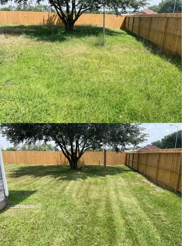 Landscaping & Yard Work - Photo 2