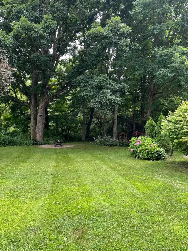 Landscaping & Yard Work - Photo 3