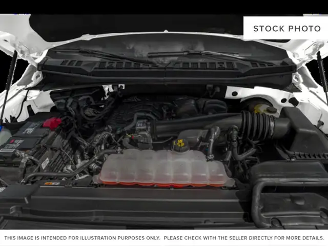 2019 Ford F-150 - Photo 6