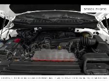 2019 Ford F-150 - Photo 6
