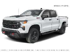 2025 Chevrolet Silverado 1500 - Photo 2