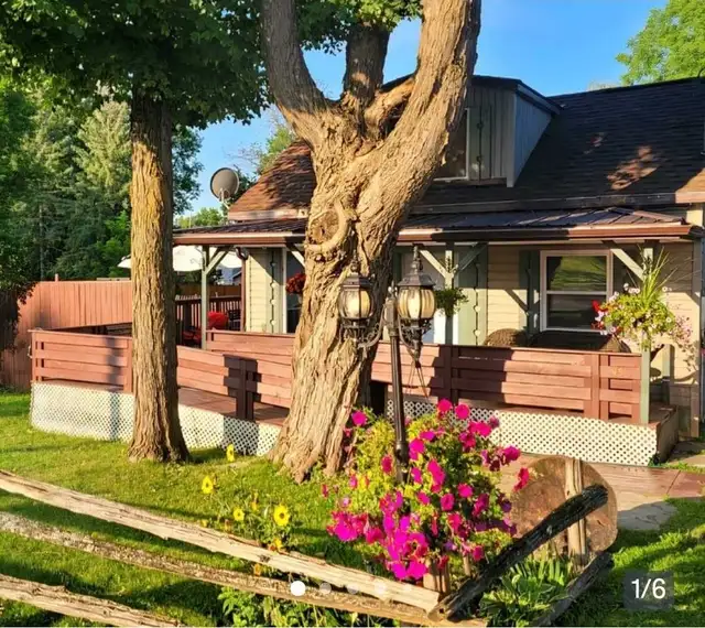 Deck/fence staining/painting - Photo 2