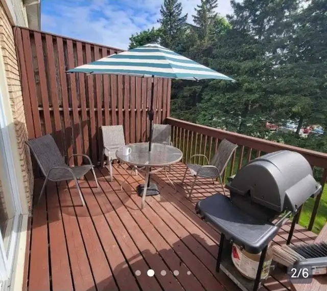 Deck/fence staining/painting - Photo 3