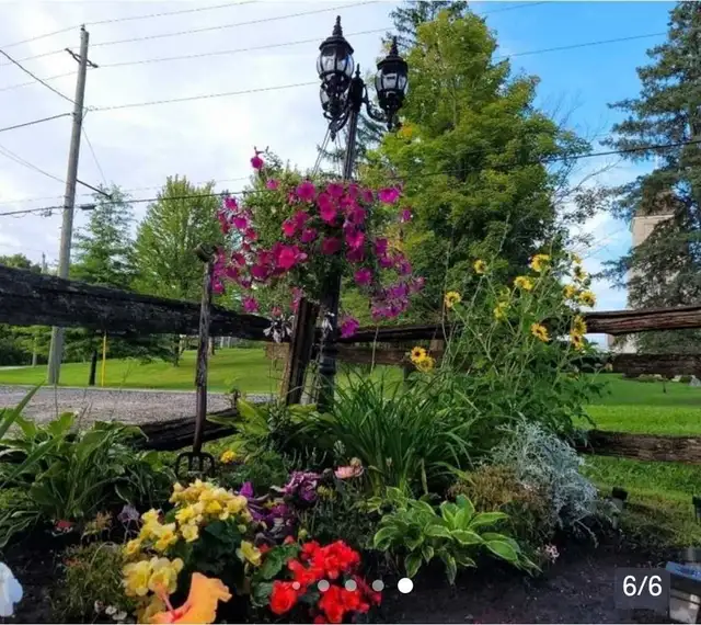 Deck/fence staining/painting - Photo 6
