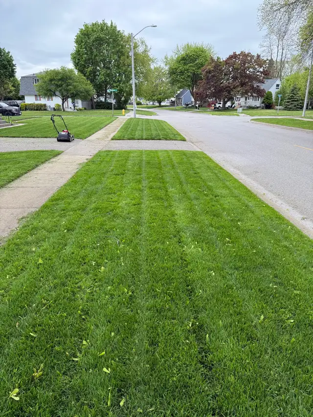 Grass cutting service