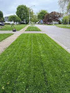 Grass cutting service