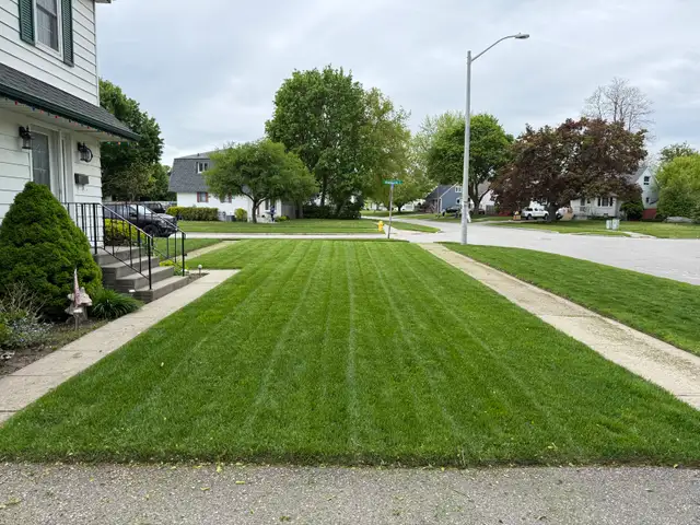Grass cutting service - Photo 4