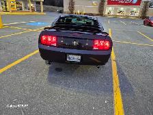 2005 Ford Mustang - Photo 4