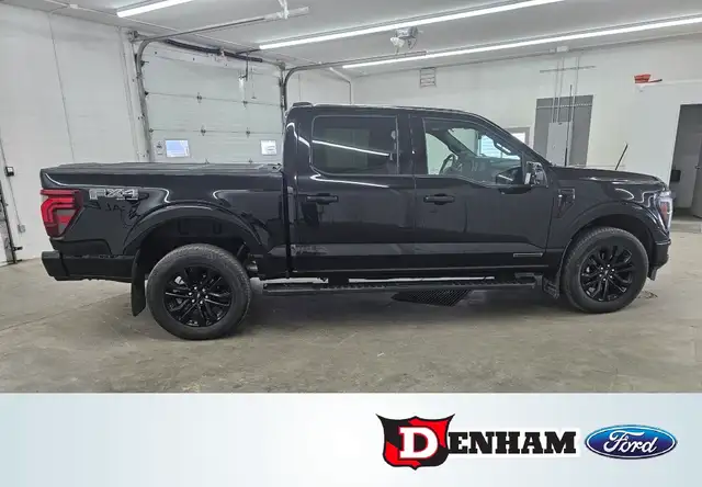 Lariat, 3.5l, HYBRID, Black Pkg, Pro power, fx4 - Photo 3