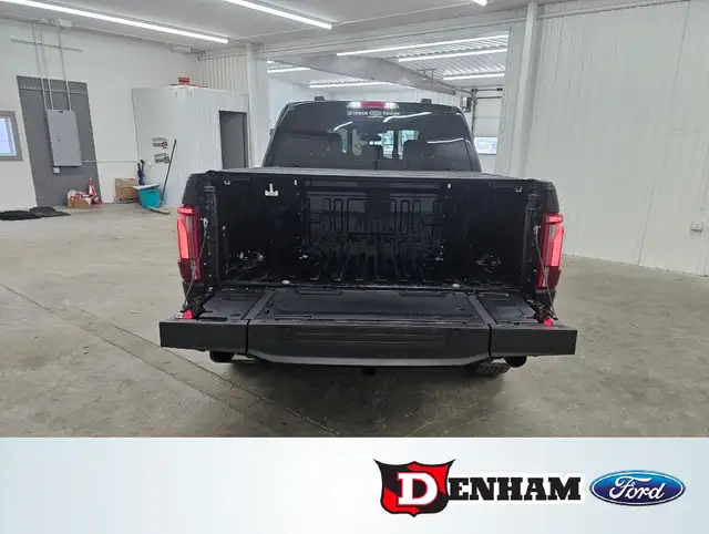Lariat, 3.5l, HYBRID, Black Pkg, Pro power, fx4 - Photo 5