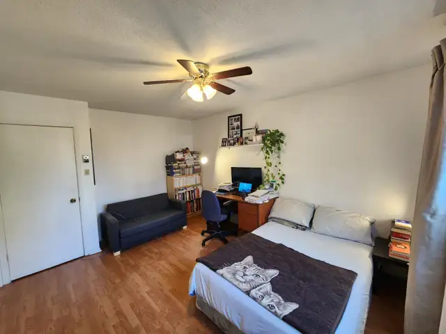 Large Bedroom For Rent – July 1, 2026 (Golden Triangle) - Photo 2