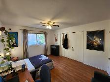 Large Bedroom For Rent – July 1, 2026 (Golden Triangle) - Photo 3