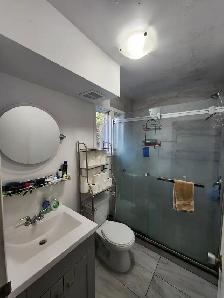 Large Bedroom For Rent – July 1, 2026 (Golden Triangle) - Photo 4