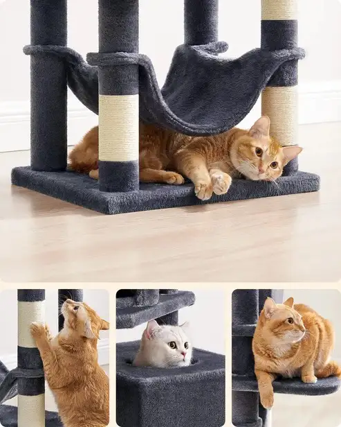 Brand New Cat Tree 2 Perches 2 Caves Special $109 - Photo 6