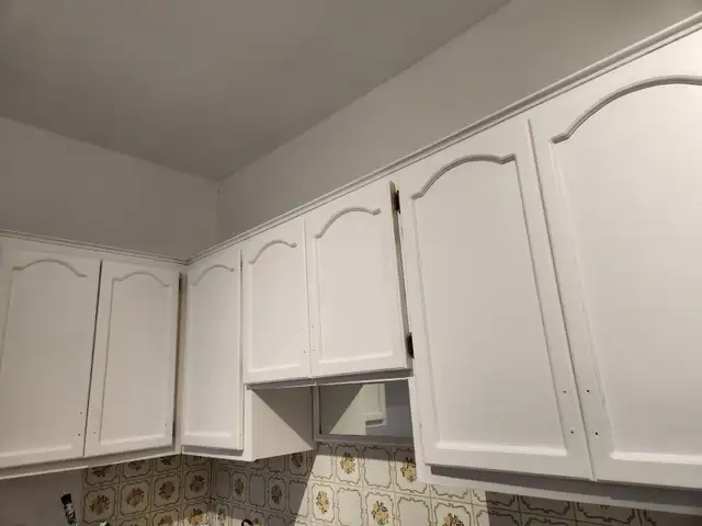 6 1/2 plateau Mont-Royal - Photo 6