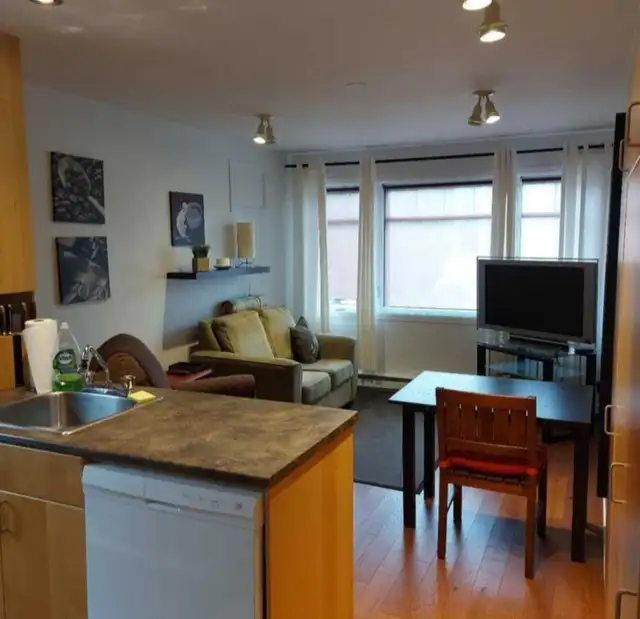appartement  temporaire - Photo 9