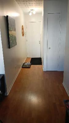 3 1/2 appartement
