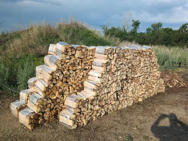 Poplar firewood bundles -free delivery - Photo 2