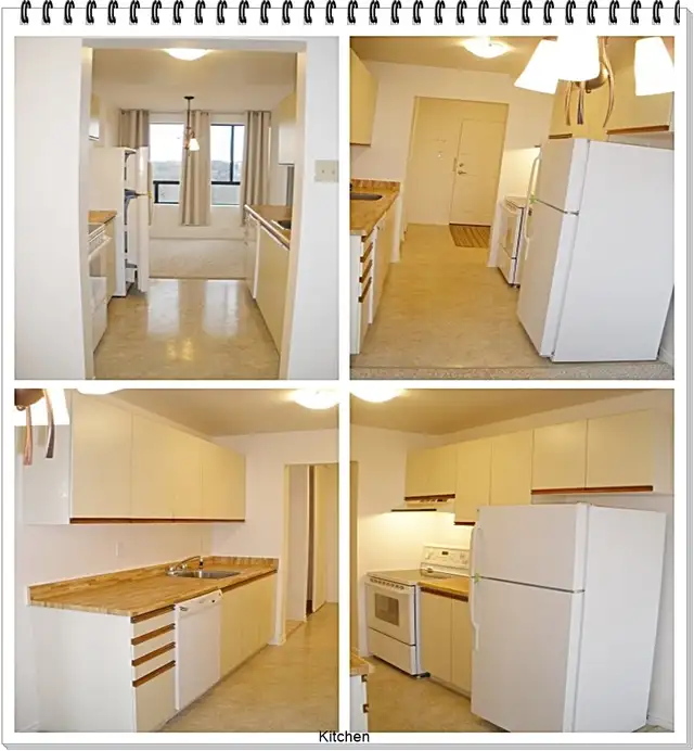 One Bedroom High Rise Rental Unit Available July 15th - Photo 4