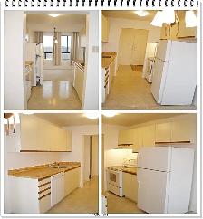 One Bedroom High Rise Rental Unit Available July 15th - Photo 4