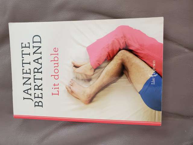 3LIVRES NEUFS DEJANETTE BERTRAND$5.00CH:LIT DOUBLE 312PAG COCON - Photo 2