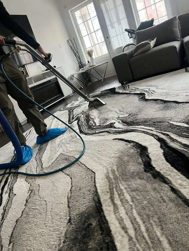 carpet, sofa , tiles and mattresses cleaning - Photo 9