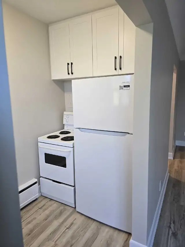 Bachelor apartment available June 1st! - Photo 3