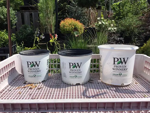 Plastic Pots, Trays for Plants, Trees, Shrubs, Vegetables, Weed, - Photo 5