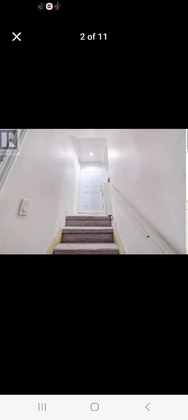 1 bedroom basement