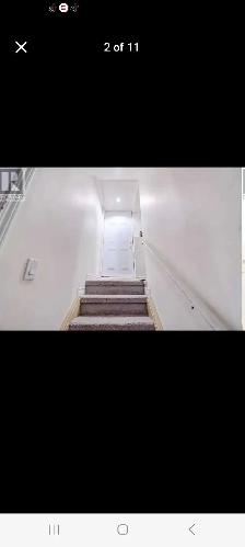 1 bedroom basement