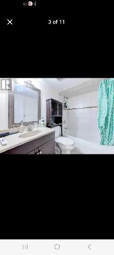 1 bedroom basement - Photo 3