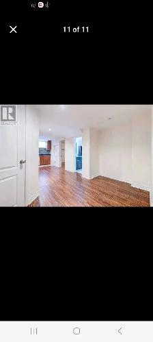 1 bedroom basement - Photo 8