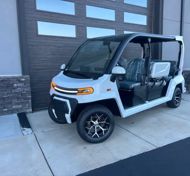 New Denago City Golf Carts - $19,999. USA Brand!