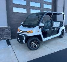 New Denago City Golf Carts - $19,999. USA Brand!