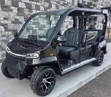 New Denago City Golf Carts - $19,999. USA Brand! - Photo 2